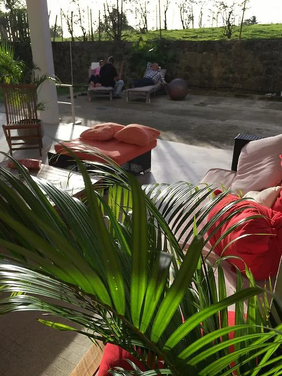 Pensionat La Colline Business & Tourisme Hotell Le Lamentin